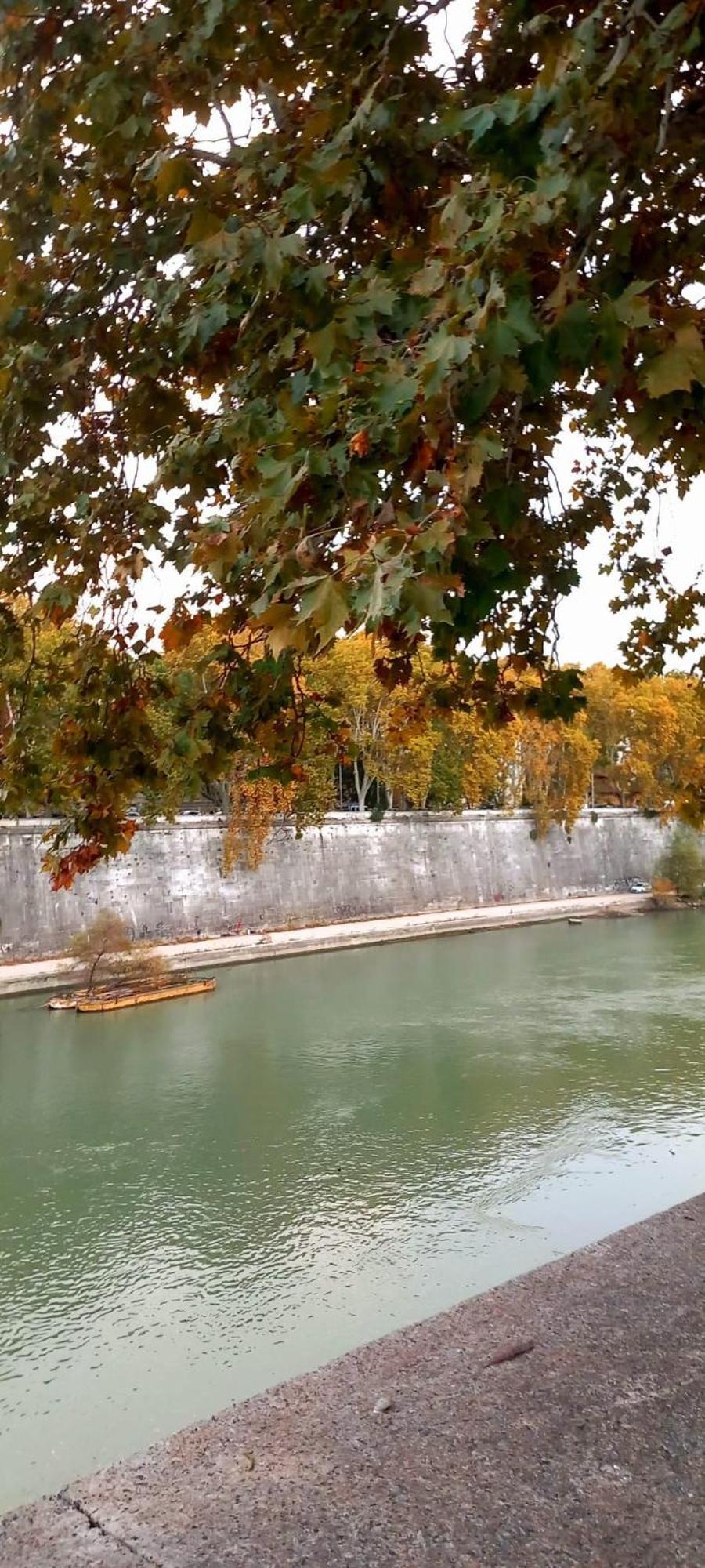 Riversidemellini44 Rome Bagian luar foto